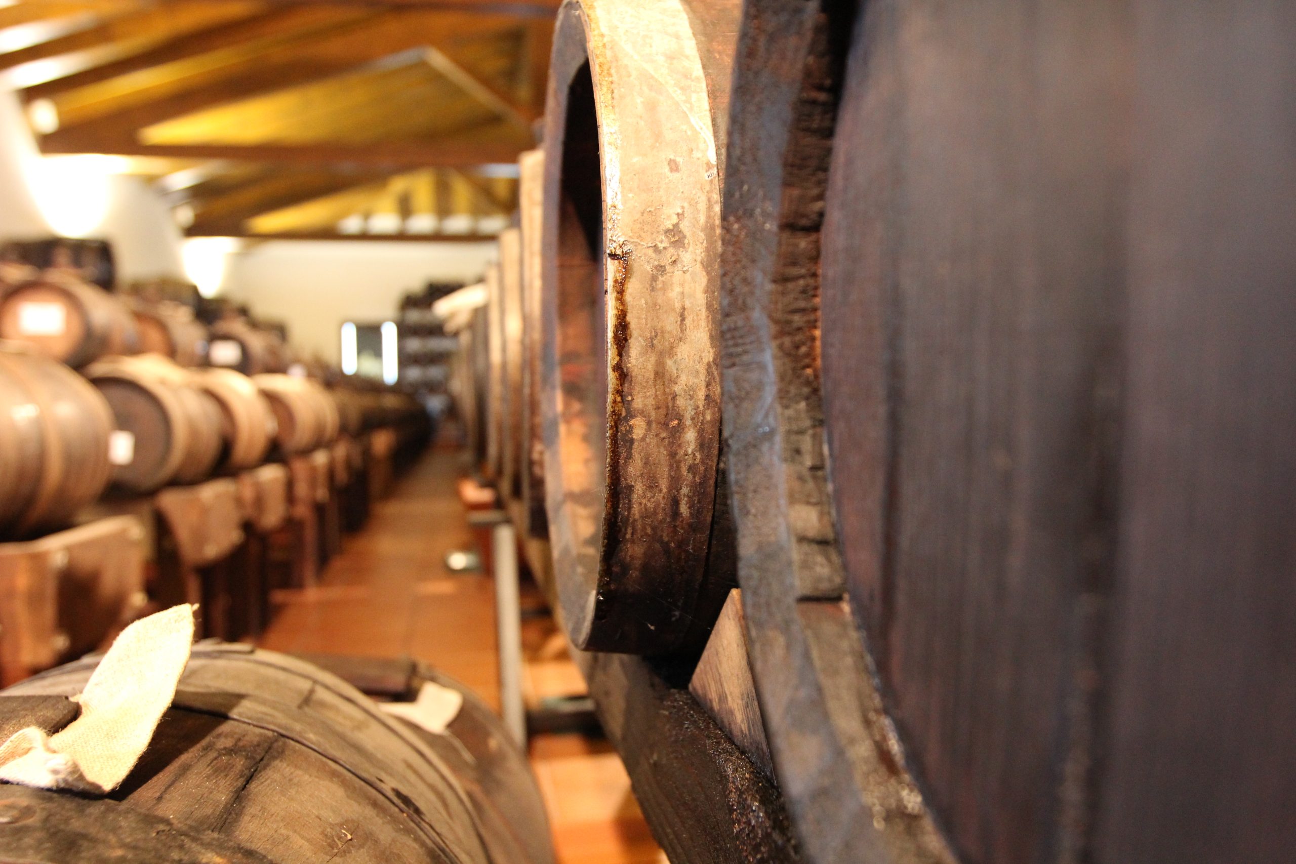 invecchiamento dell'aceto balsamico di Modena Dop acetaia Sereni